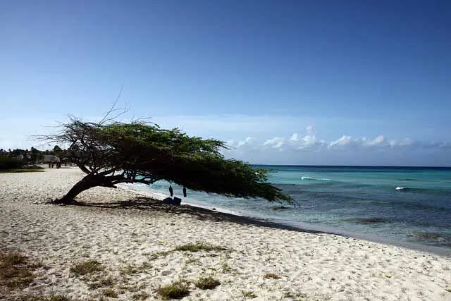Aruba Aruba